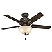 Hunter Donegan Indoor Ceiling Fan with LED Light and Pull Chain Control, 44