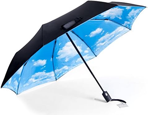 RITENG Windproof Waterproof Lightweight Umbrella, Compact Travel Auto Open Close Umbrella for Women & Men Multiple Colors