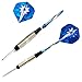 Centaur 6 Pack Steel Tip Darts, Professional Metal Tip Darts Set 23 Grams with Aluminum Shaft + Brass Barrel + 2 Style Standard Flights + Dart Sharpener + Case