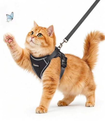 Cat Harness Leash