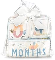 winnie the pooh milestone blocks