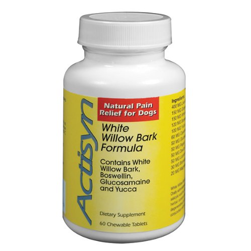Actisyn Natural Pain Relief for Dogs 60 count My Pet Supplies