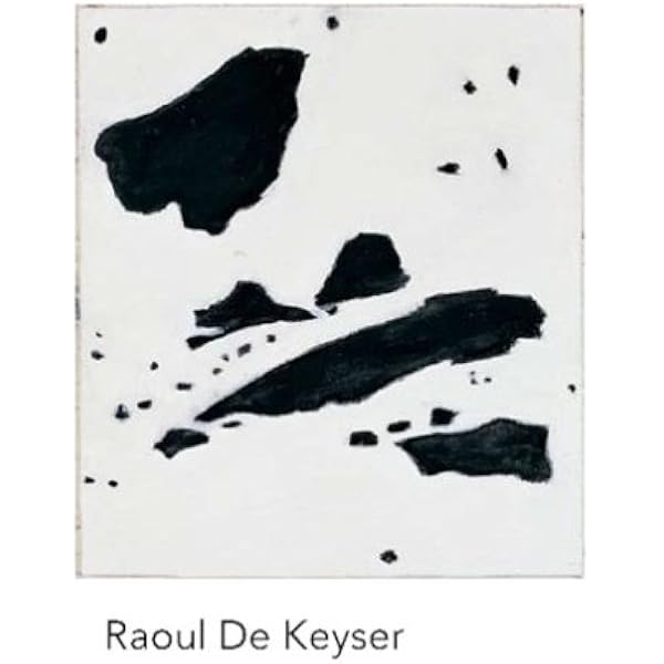 RAOUL DE KEYSER REPLAY 2008 画集 Amazon.com: Raoul de Keyser