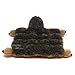 Outward Hound  Matz 16-Squeaker Plush Toy, Hedgehog