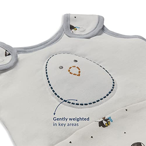 Nested Bean Zen Sack® Premier Gently Weighted Sleep Sacks Baby 6