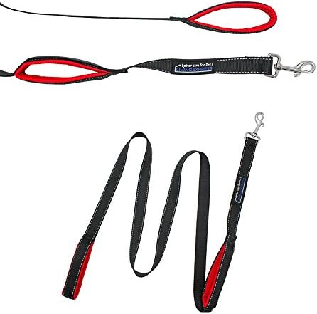 Premium 2 Handles Dog Reflective Leash, 6FT Long, Free LED Light Included, Double Padded Handle, Great Control for Medium, Large or XL Dogs , (Red)