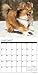 Just Shelties 2017 Wall Calendar (Dog Breed Calendars)