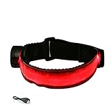 LED Armband - USB Rechargeable -Glovion LED Running Armband Light- High Visibility Safety Gear for Night Running, Jogging & Cycling - Red