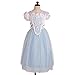 Dressy Daisy Girls' Princess Dress Up Halloween Party Costumes Dresses Size 3T