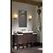 KOHLER K-2913-PG-SAA Catalan Mirrored Cabinet with 107° Hinge, 1, Satin Anodized Aluminum