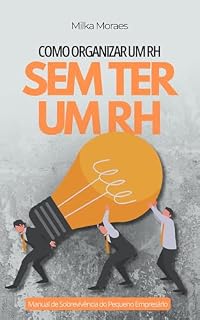 Livro Como organizar um RH sem ter um RH: Manual de sobrevivência do pequeno empresário