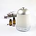 Greenair Spa Vapor+, Oil Diffuser Advanced Wellnss Instant Healthful Mist Therapy