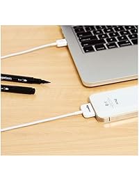  Basics Apple Certified 30-Pin to USB Cable for Apple iPhone 4, iPod, and iPad 3rd Generation - 3.2 Feet (1.0 Meter)