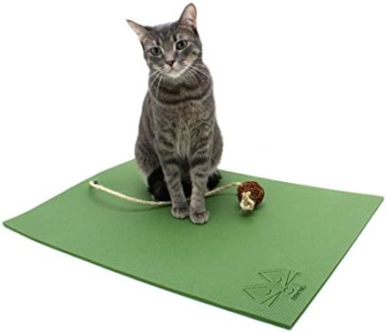 Cat Mat with Catnip Cat Toy. Cat Scratching Post, Bed, Activity Play Mat (Green)