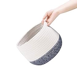 TerriTrophy 2pc Large Woven Storage Basket with