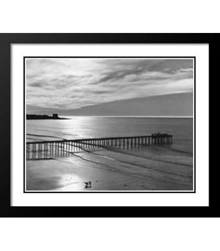Amazon.com: Ansel Adams FRAMED Art Print 28x36 Birds on a Beach
