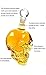 XOCOY Glass Skull Face Decanter Bottles Bottling (500_ML)