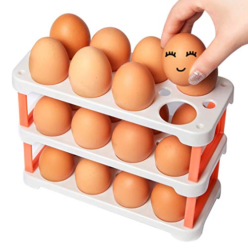 Ease.Life 24 Egg Holder for Refrigerator with 3 Reusable Egg Cartons