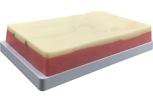 Venipuncture IV Injection Training Pad Starter Kit Blood Draw Practice kit for Nursing Student Medical Education