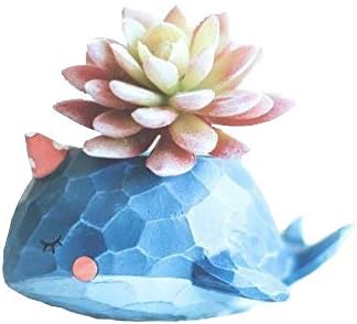 Blue Whale Resin Succulent Planter Pots,use for Office House Balcony Landscape Creative Decorative Flower Pots (Whale)
