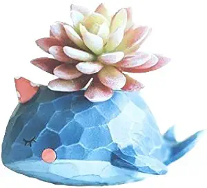 Wish you have a nice day Blue Whale Resin Succulent Planter Pots for Office House Balcony Landscape Creative Decorative Flower Pots (Whale)