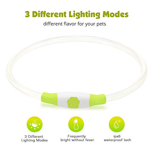 LED Dog Collar, USB Rechargeable Flashing Light Up Collar for Safety at Night, Adjustable Water Resistant Bright Lighted Collar for Small Medium Large Dogs - Thumbnail 4