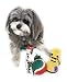 Christmas Dog Stocking Toys. Pack Assorted with Squeaker Inside of Newspaper Toy, Squeaky Boot, a red, Green & White Tennis Ball & red White & Green Knotted Rope Xmas Toy. Small Medium Large Breeds