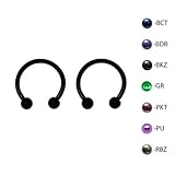 Pair of Titanium Circular Barbell w/Balls Horseshoe Earrings 18-14G