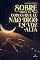 Livro Sobre Todas as coisas que Eu Não Digo em Voz Alta