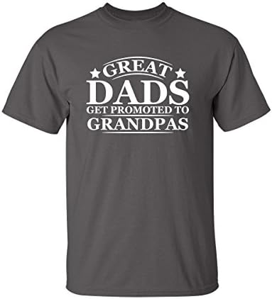 Great Dads Get Promoted to Grandpas Pops Mens Graphic Novelty Funny T Shirt