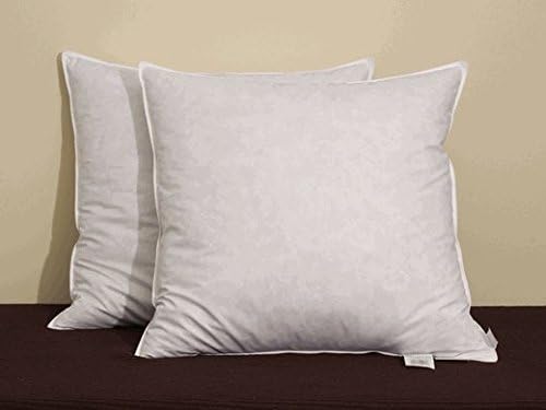 Amazon Com Pacific Coast Euro Feather 26 By 26 Square 2 Pillow