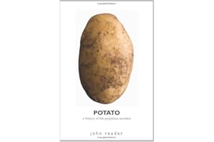 Potato