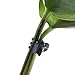 Outus 100 Pack Orchid Clips, Plant Clips, Orchid Support Clips Flower and Vine Clips for Supporting Stems Vines Grow Upright, Dark Green