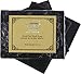Vivo Per Lei Dead Sea Soap Bar - Face Soap for Women - Contains Dead Sea Salt, Charcoal - 3.17 Oz - Pack of 3