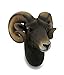DWK Ram Head Bust Sculptural Wall Hanging