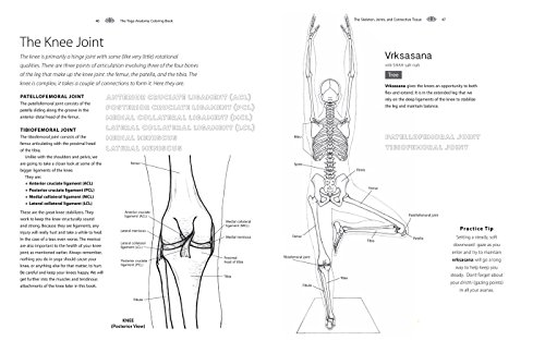 The Yoga Anatomy Coloring Book A Visual Guide to Form Function and Movement