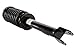 Prime Choice Auto Parts CST100284PR Pair of Complete Strut Assemblies