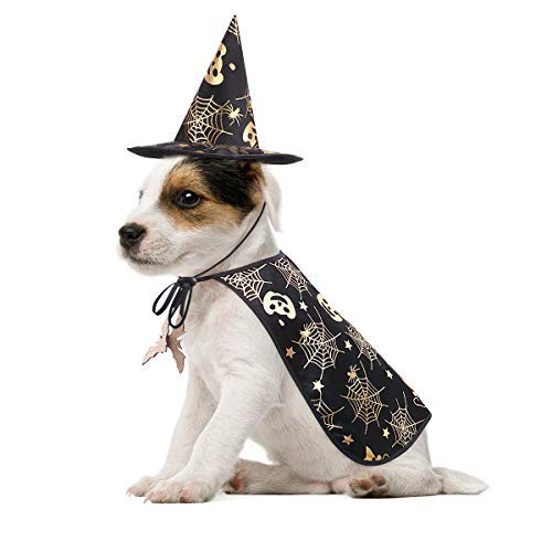 Pet Halloween Costumes Cape with Wizard Hat Dog Cat Halloween Apparels (Size L)