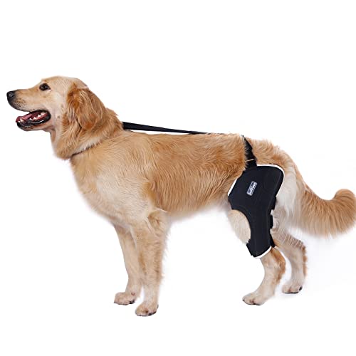 LufeLux Dog Knee Brace for Torn ACL, Two Angled Lateral Aluminum