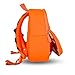 OFUN Dinosaur Backpack for Preschool Kids, 13'' Toddler Backpack for Kids Age 2-7, 3D Cute Animal Backpack