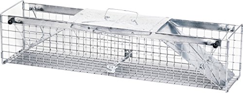 Havahart 1040 Live Animal Two-Door Skunk, Muskrat, and Opossum Cage Trap