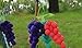 king's store,300 PCS rainbow colored balloons, strip shape balloon magic balloon animals, sent free of charge pump