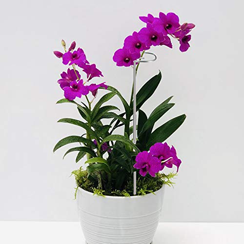 30 Inch Plant Stakes for Flowers 5 Pack (DIY), Stainless Steel Garden