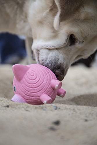 HuggleHounds Extremely Durable and Squeaky Ruff-Tex Hamlet The Pig Pet Toys, Large