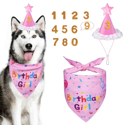Yicostar Dog Girl Birthday Party Hat