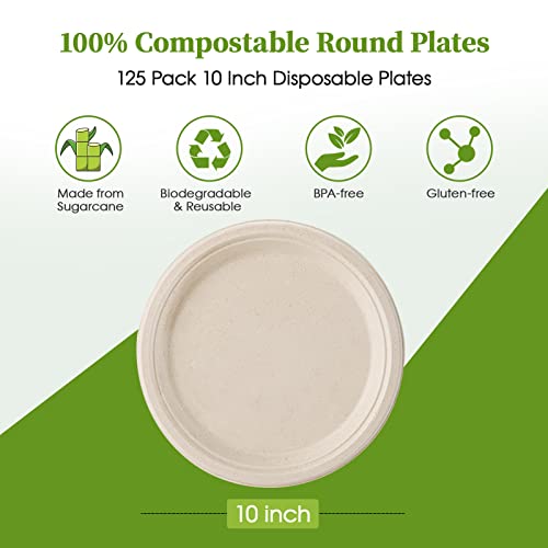 ECOLipak 100 Compostable 10 inch Paper Plates, 125 Pack Heavy Duty