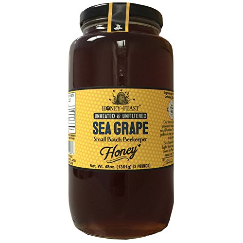 Gourmet Sea Grape Honey - 3 Pound Glass Jar. Raw, Unheated, Unfiltered USA Honey Feast brand honey. Hand crafted small batch beekeeper honey from Florida. USA Honey.