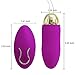 Jetpow Vibrating Egg Wands G-spot Clitorial Stimulate Waterproof Portable Wireless Remote Control USB Rabbits Women Bullet Massager Purple