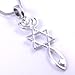 Messianic Seal Necklace Hebraic Roots Silver Grafted 19 Inch Chain Comes in A Lovely Gift Pouch