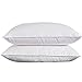 puredown Natural White Goose Feather Down Pillow Egyptian Cotton Cover 500 Fill Power King Size Set of 2